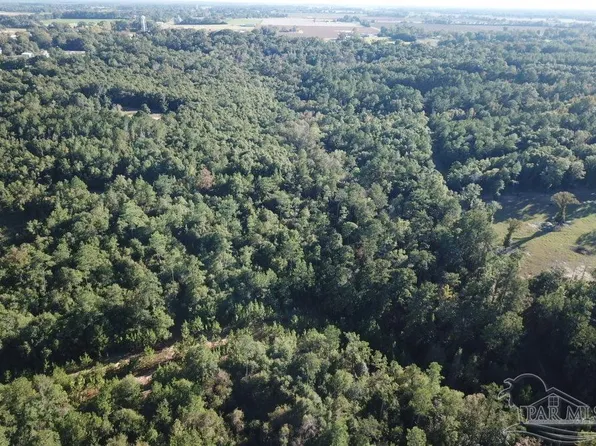 8 8/ Acres, Jay, FL 32565