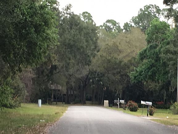 5th image of 28538 Tammi Dr