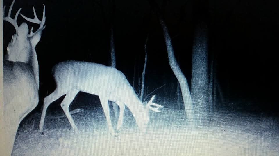 1st image of 10964 River Ranch Rd