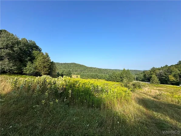 1235 Kansas Hollow Rd #30, Bolivar, NY 14715