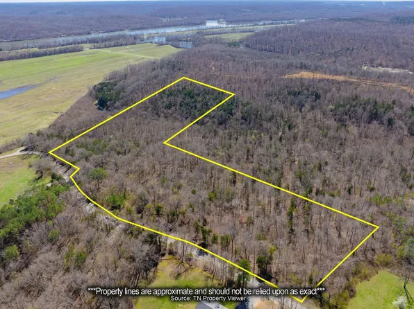 3874 Mouse Tail Rd, Parsons, TN 38363