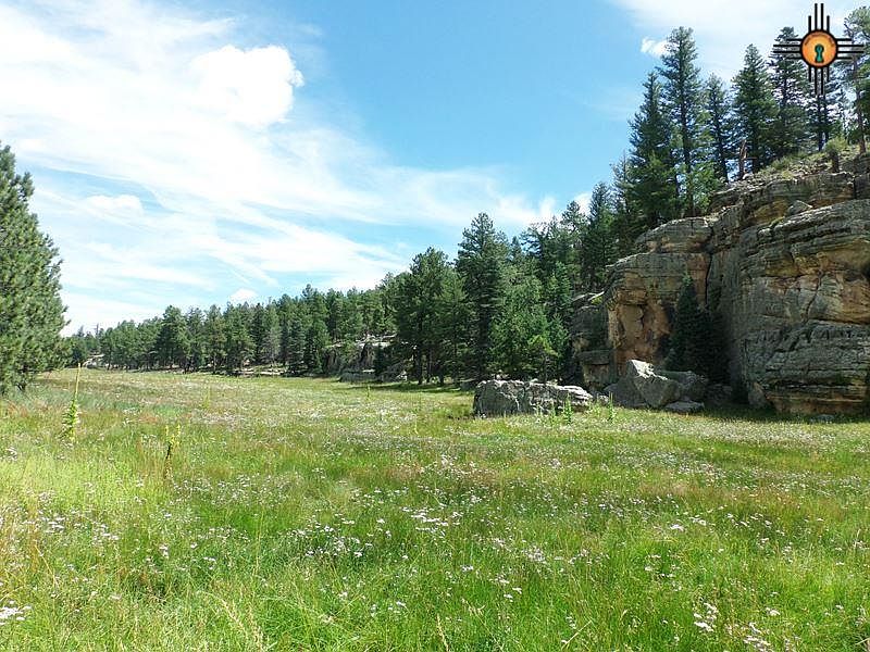 727AC Lefebres Mesa, Guadalupita, NM 87722 Zillow