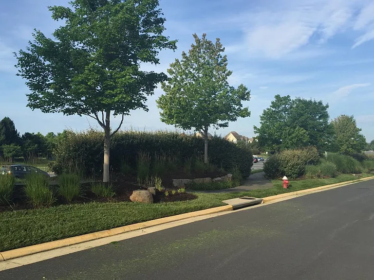 22732 Parkland Farms Ter — Photo 13