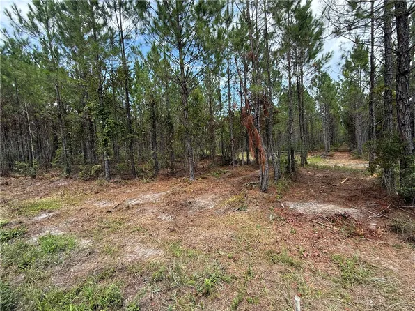 0 Corbitt Rd, Manor, GA 31550