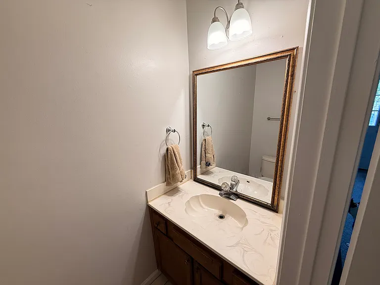 Downstairs half bathroom
