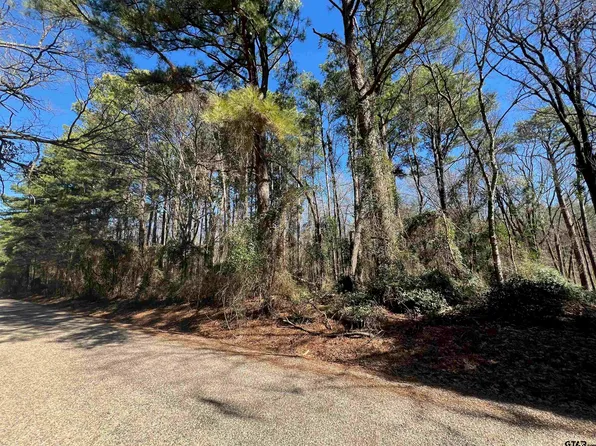 County Road 2314, Pittsburg, TX 75686