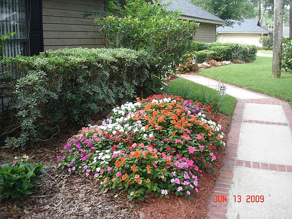 3rd image of 7036 Cypress Bridge Cir