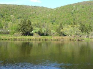 615 River Rd, Deposit, NY 13754