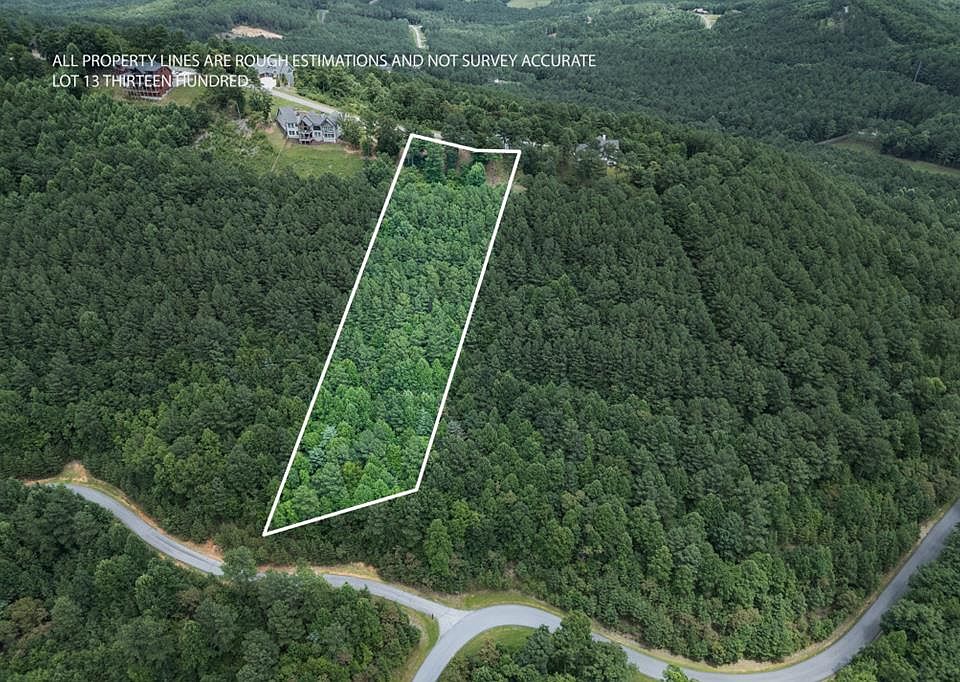 1st image of LOT 13 1300th