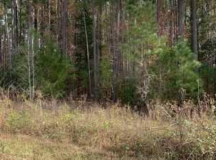 Renrut Rd LOT 4, Brodnax, VA 23920