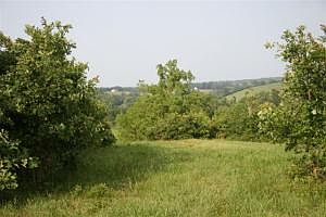 2nd image of 811 County Road Foxwood Lot 16