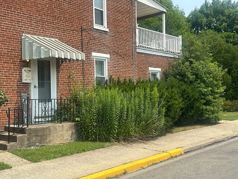 800 Tuckerton Ave #2 — Photo 2