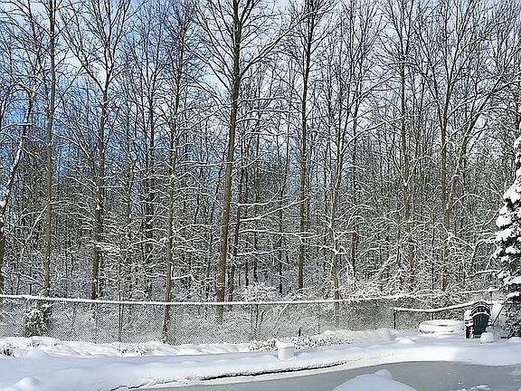 Sunny Winter View - Backyard