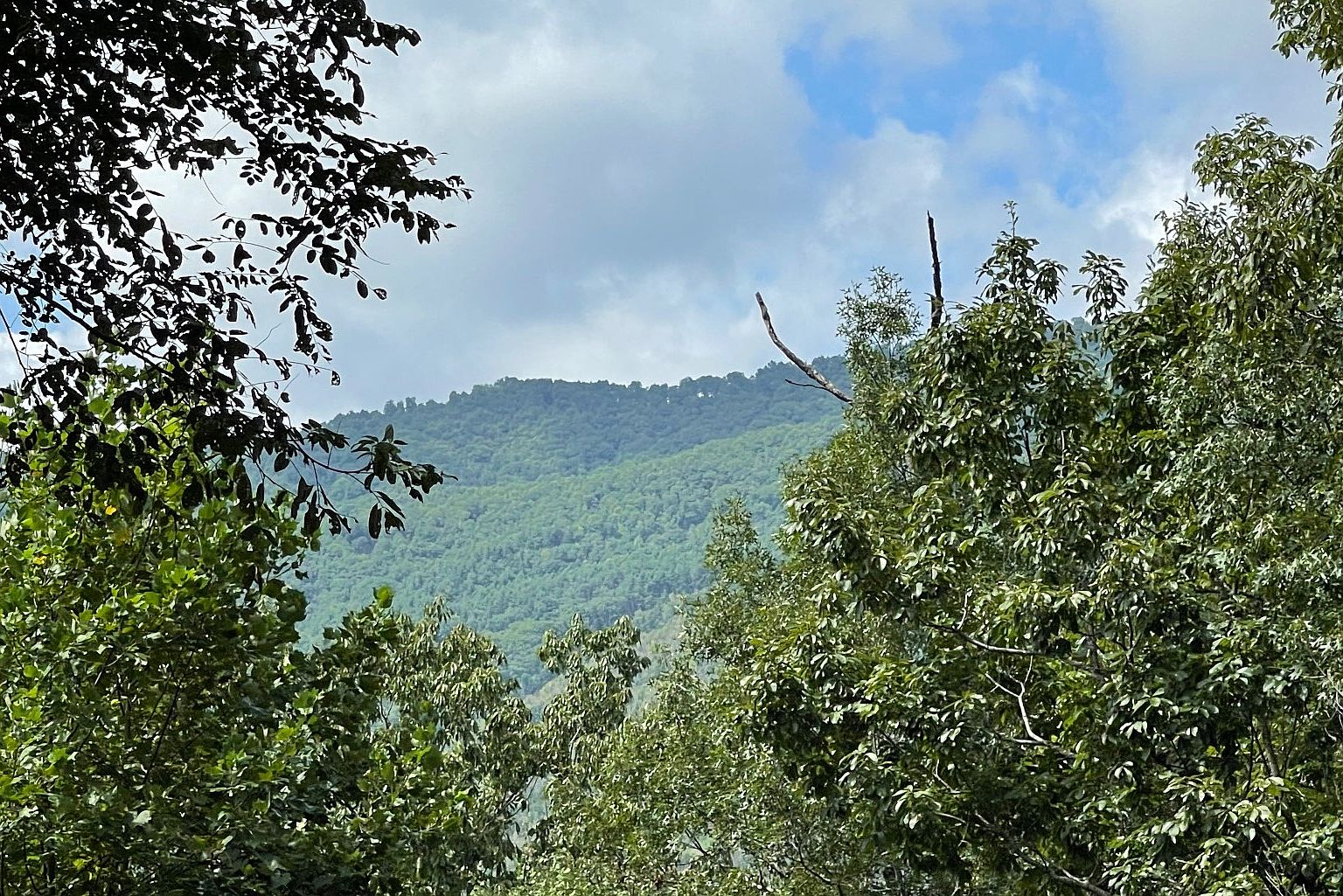 LOT 73 Fires Creek Rd, Hayesville, NC 28904 | MLS #324617 | Zillow