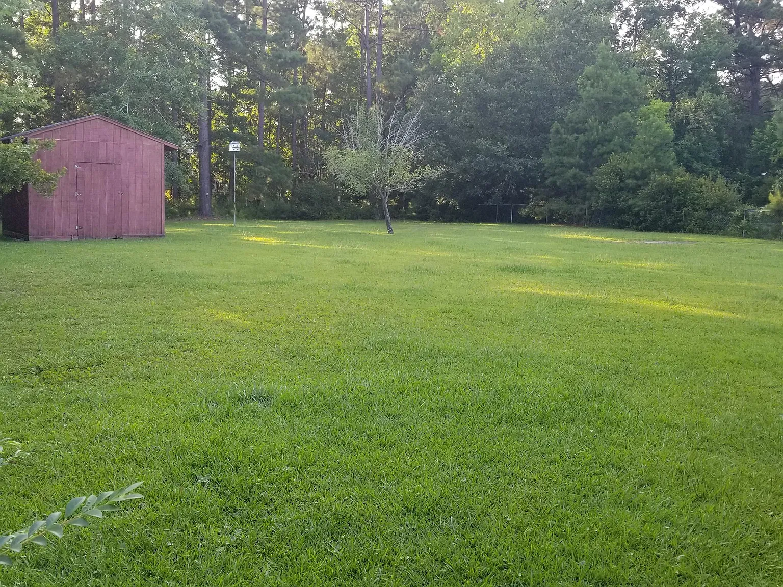 3 bed, 1517 sqft, $2,300 — Photo 3