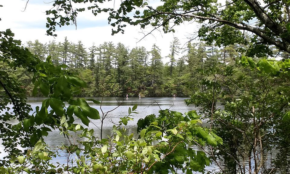1st image of 243 Morrills Mill Rd