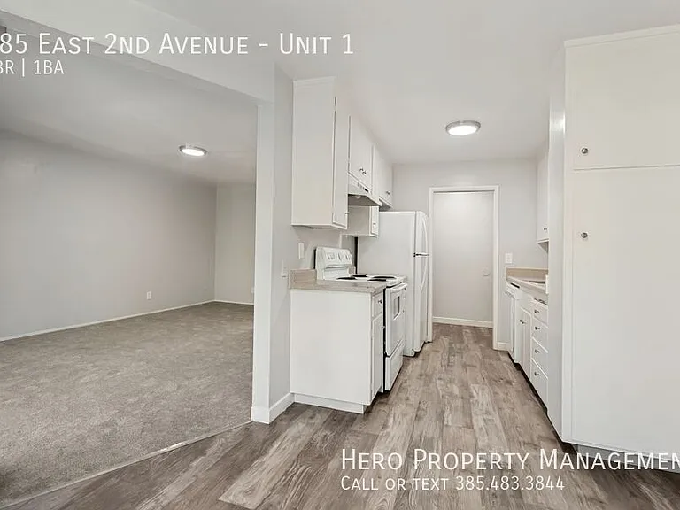 585 E 2nd Ave #1 — Photo 10