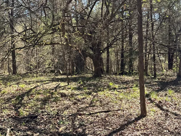 9999 County Road 415, Tyler, TX 75704