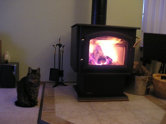 Woodburning Stove