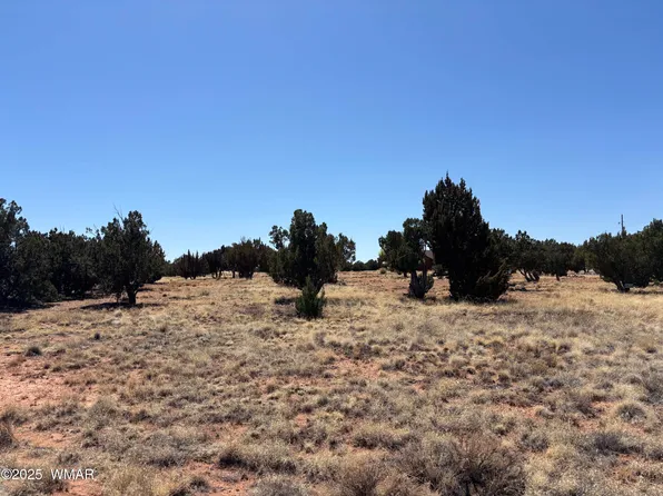 3513 Mill View Rd, Heber, AZ 85928