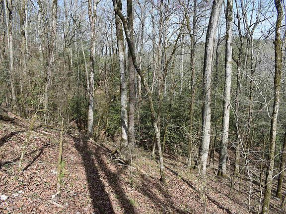 5th image of 0 Old Dallas Rd W