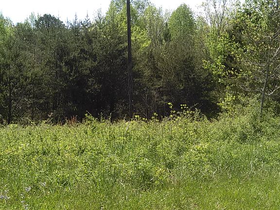 Power lines along street