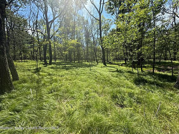 5th image of 338 Mossy Hill Road