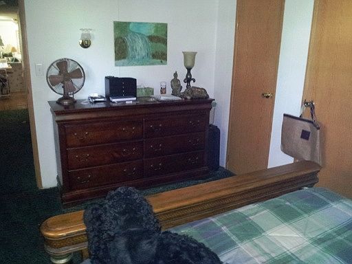 Master Bedroom w dbl closets