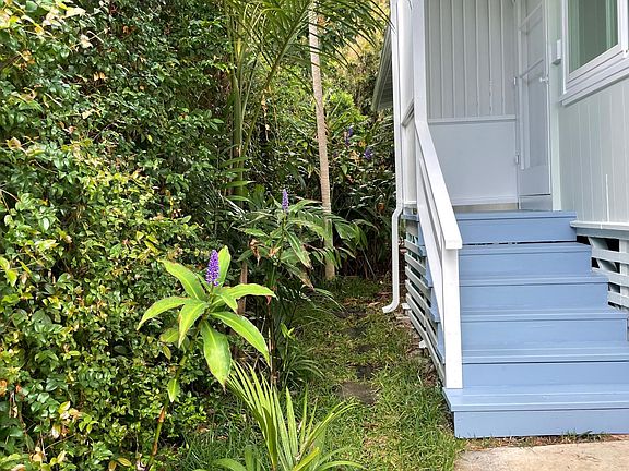 front entrance. Blue and yellow ginger, and palm trees