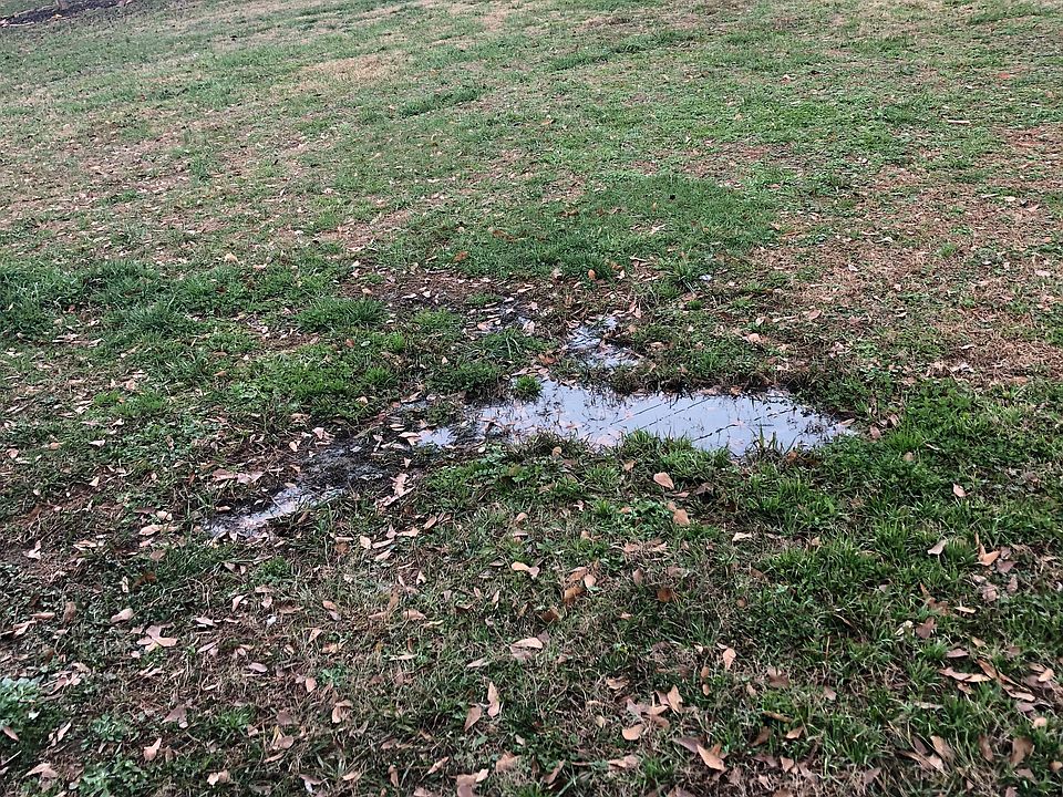Septic problems 
