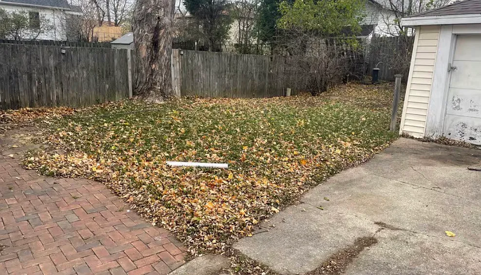 2 bed, 1.5 bath, 1600 sqft, $1,500 — Photo 3