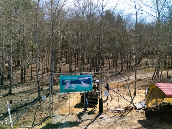 Blum Rd, Equinunk, PA 18417