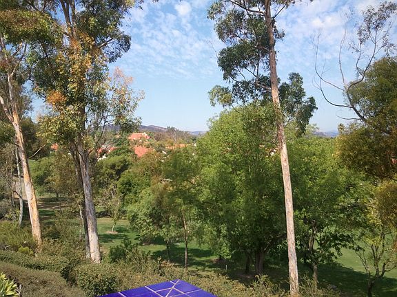 Backyard View