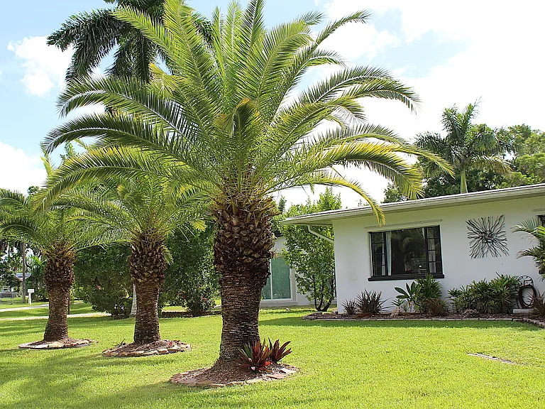 E Riverside Dr — Photo 18