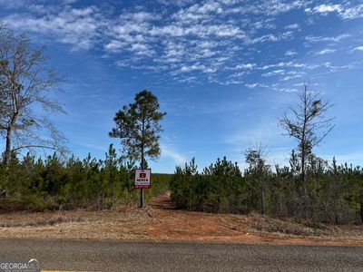 16 Dozier Rd, Ellaville, GA, 31806