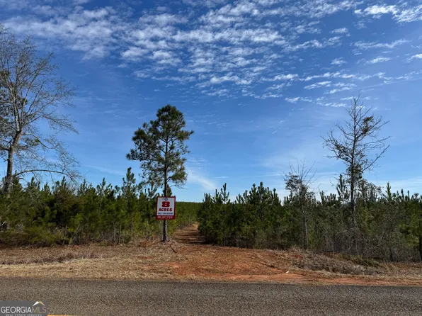 16 Dozier Rd, Ellaville, GA 31806