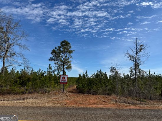 16 Dozier Rd, Ellaville, GA 31806