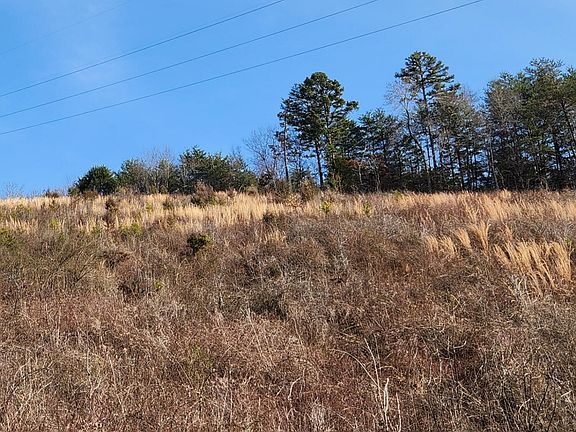 5th image of 0 Dallas Hollow Rd