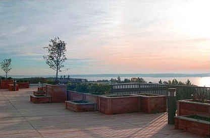 great roof deck!
