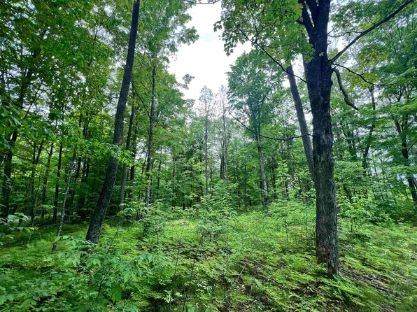 N13068 Limberg Ln #3, Athelstane, WI 54104