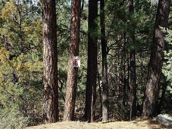 2nd image of lot 98 Fawn Ridge #98