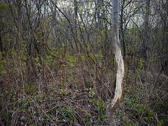 4th image of County Line Ave