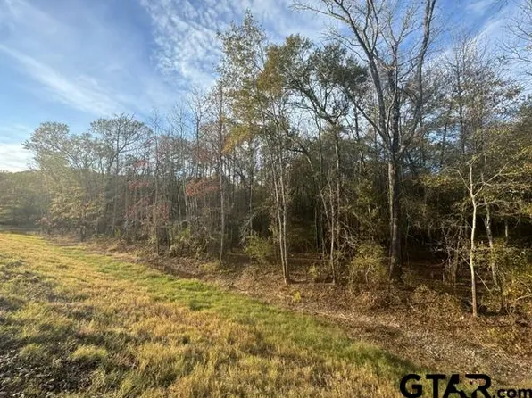 Highway 135, Troup, TX 75789