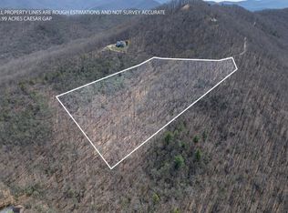Caesar Gap Rd, Hiawassee, GA 30546