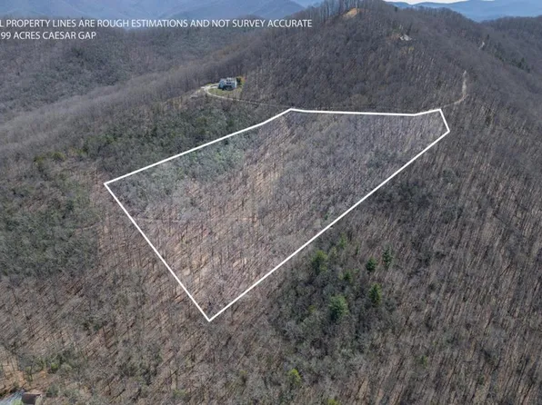 Caesar Gap Rd, Hiawassee, GA 30546