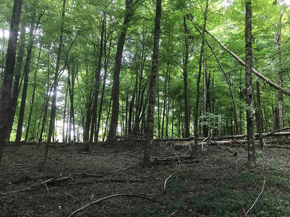 2nd image of Arthur Rd