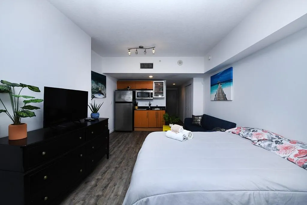 Studio, 401 sqft, $2,100 — Photo 2