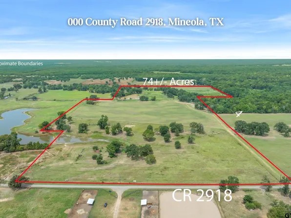 0 County Road 2918, Mineola, TX 75773