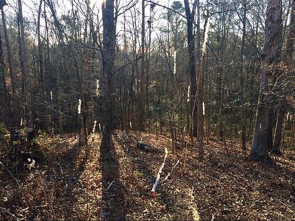 5th image of 360 Woodmont Ct #5