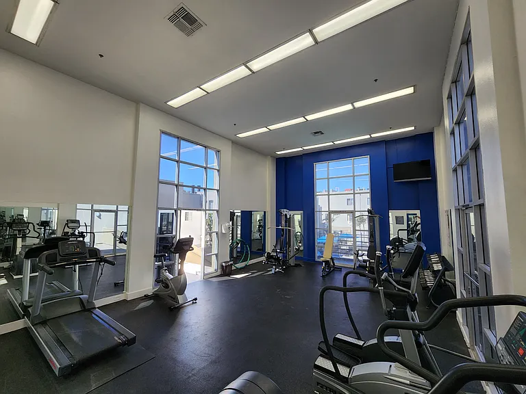 Luna's Gym
